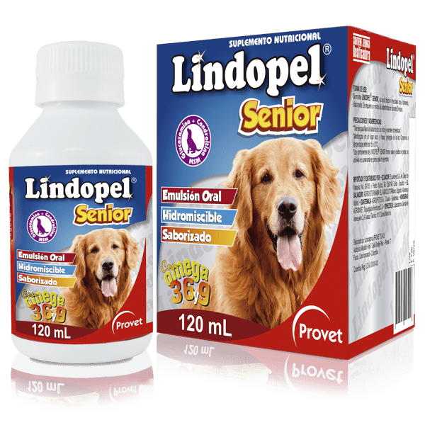 Lindopel senior