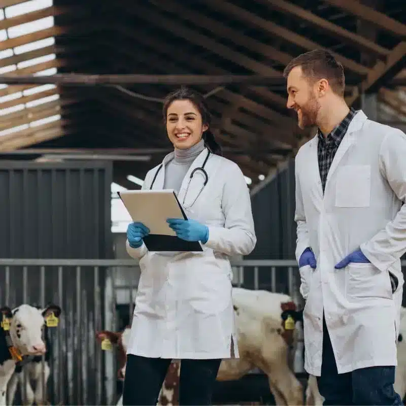 Laboratorio farmacéutico veterinario - Provet